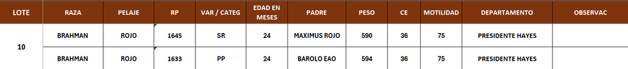 Lote LOTE 10