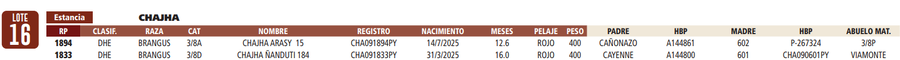 Lote LOTE 16