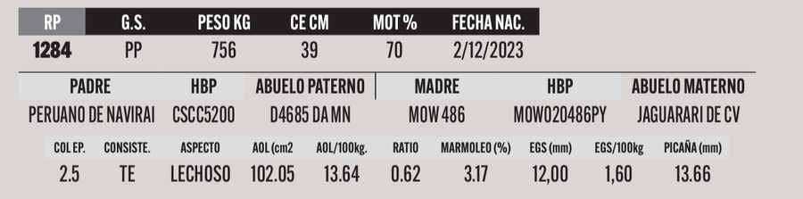 Lote LOTE 5
