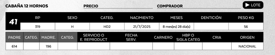 Lote LOTE 41