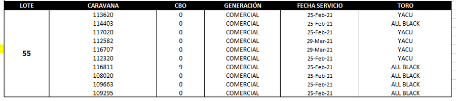 Lote Reproductores de Alborada - Lote 55