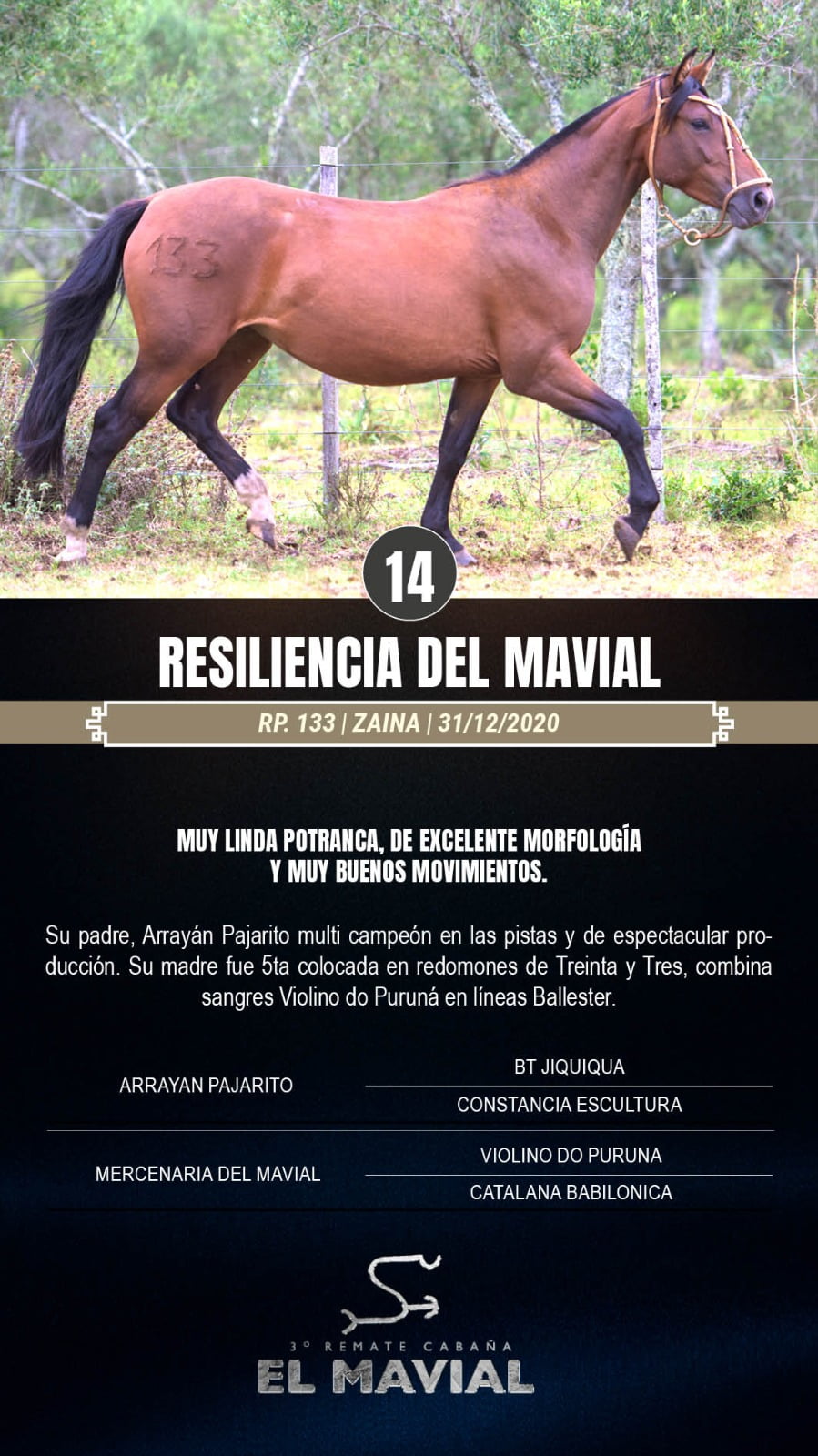 Lote Resilencia del Mavial