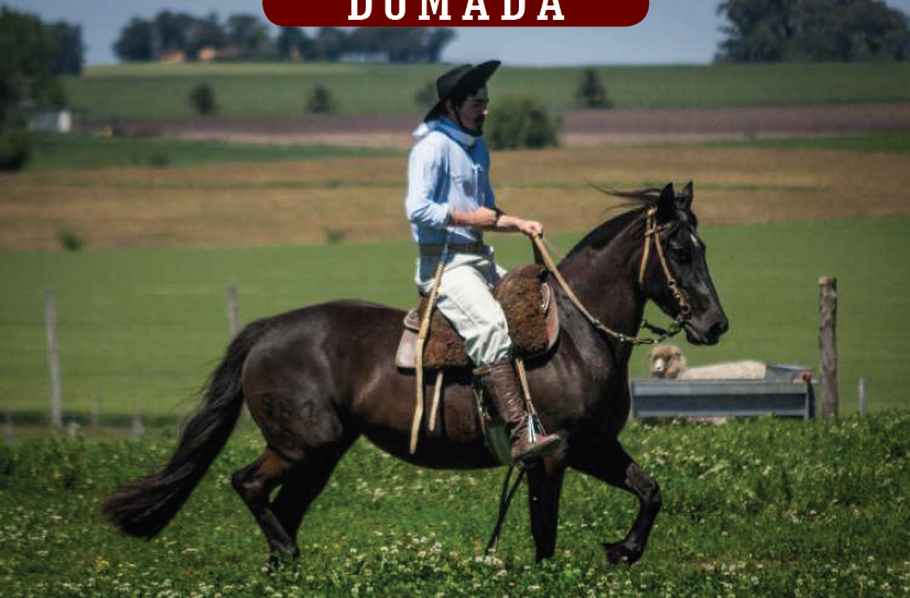 Lote YÚBELY DEL SILENCIO