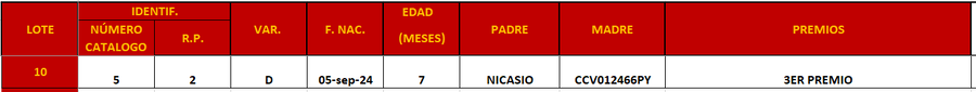 Lote LOTE 10