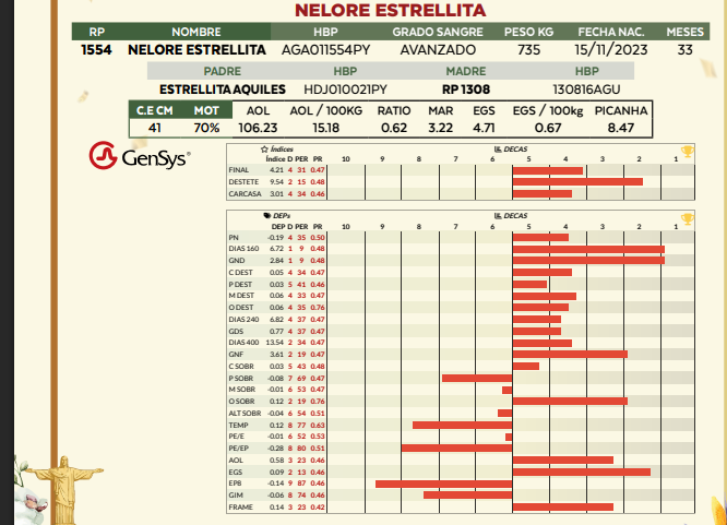 Lote LOTE 81