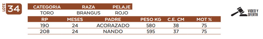 Lote LOTE 34