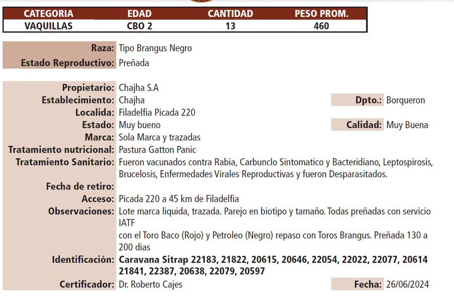 Lote LOTE A