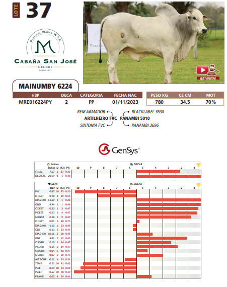 Lote LOTE 37