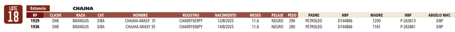 Lote LOTE 18
