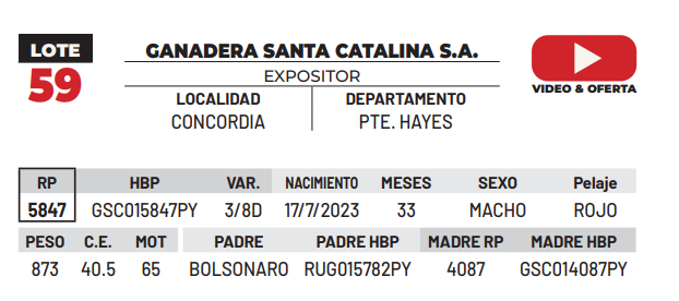 Lote LOTE 59 -DE CAMPO