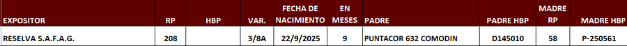 Lote LOTE 1