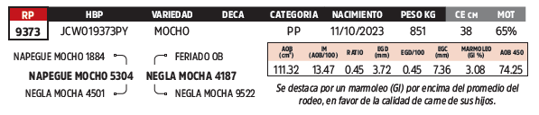 Lote LOTE 81