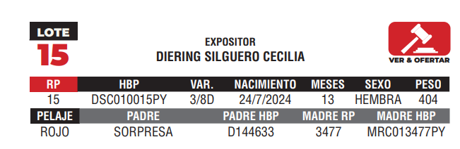 Lote LOTE 15 - JUNIOR