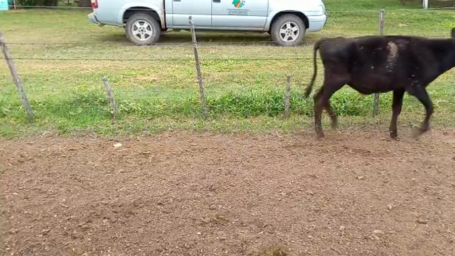 Lote 12 Terneros en Pueblo Marini, Santa Fe
