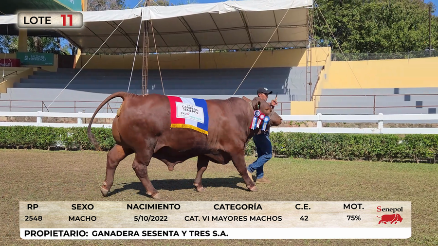 Lote LOTE 11