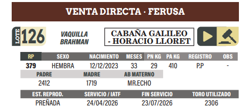 Lote LOTE 126