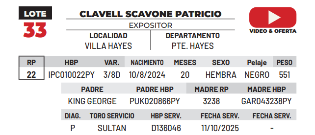Lote LOTE 33 -DE CAMPO