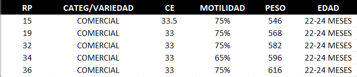 Lote GUSTAVO RUIZ - LOTE 19