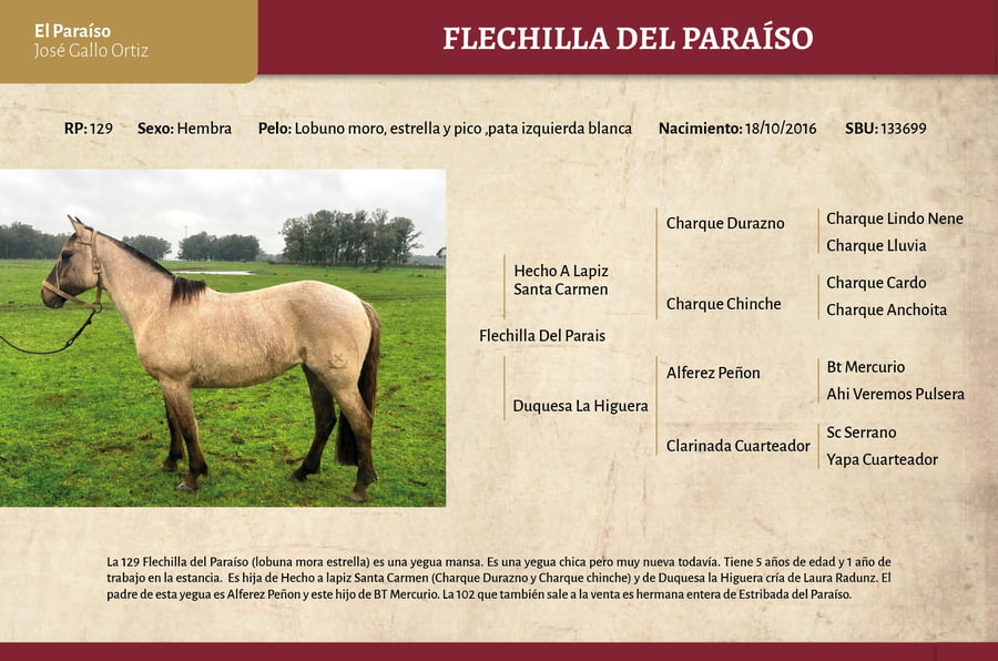Lote Flechilla del Paraíso (RP 129) - Cabaña El Paraíso