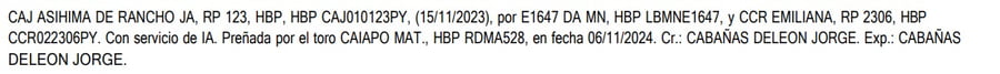 Lote LOTE 1