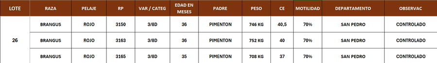 Lote LOTE 26- POR PANTALLA