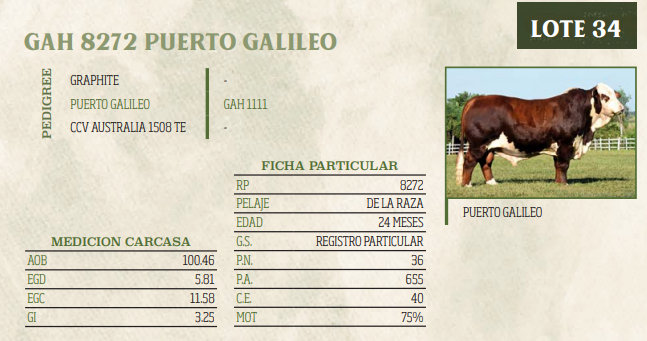 Lote LOTE 34