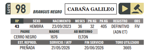 Lote LOTE 98