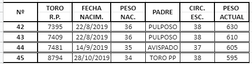 Lote TOROS ANGUS NEGRO PURO CONTROLADO