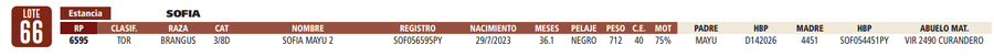 Lote LOTE 66