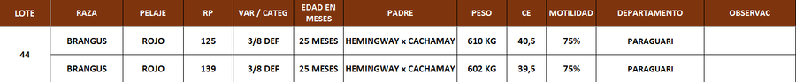 Lote LOTE 44