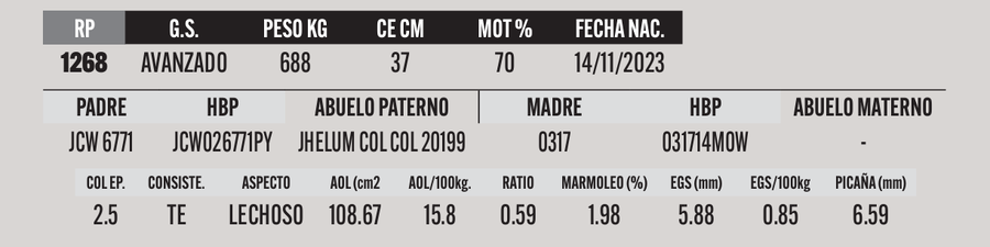 Lote LOTE 53