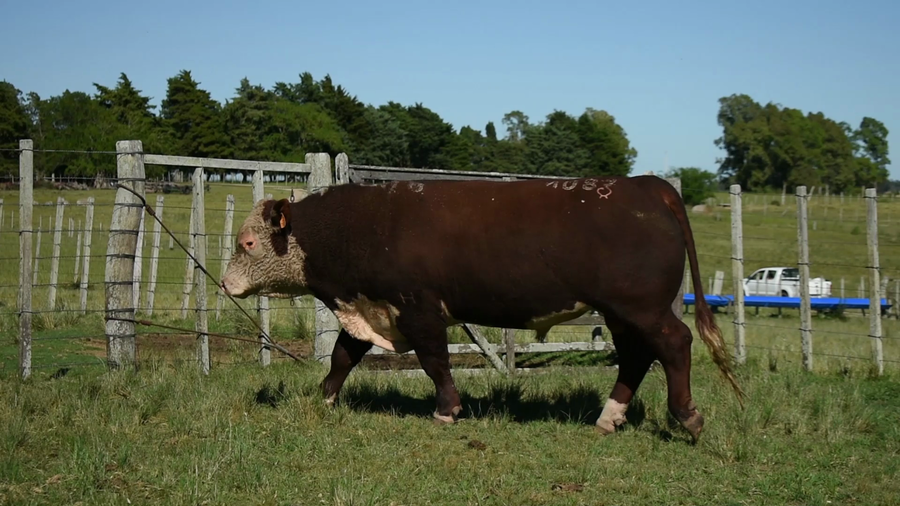 Lote "Doña Elisa", RP 1087