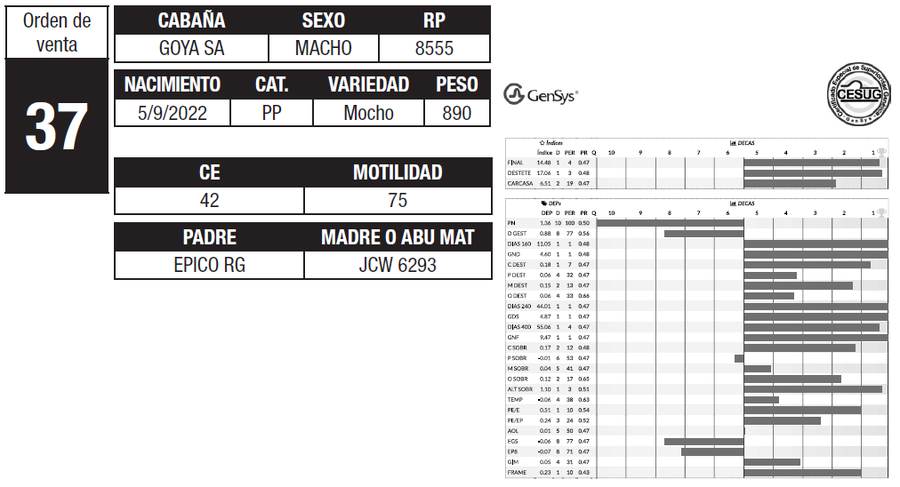 Lote LOTE 37