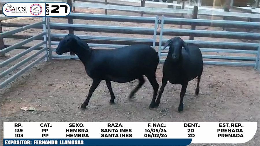 Lote LOTE 27