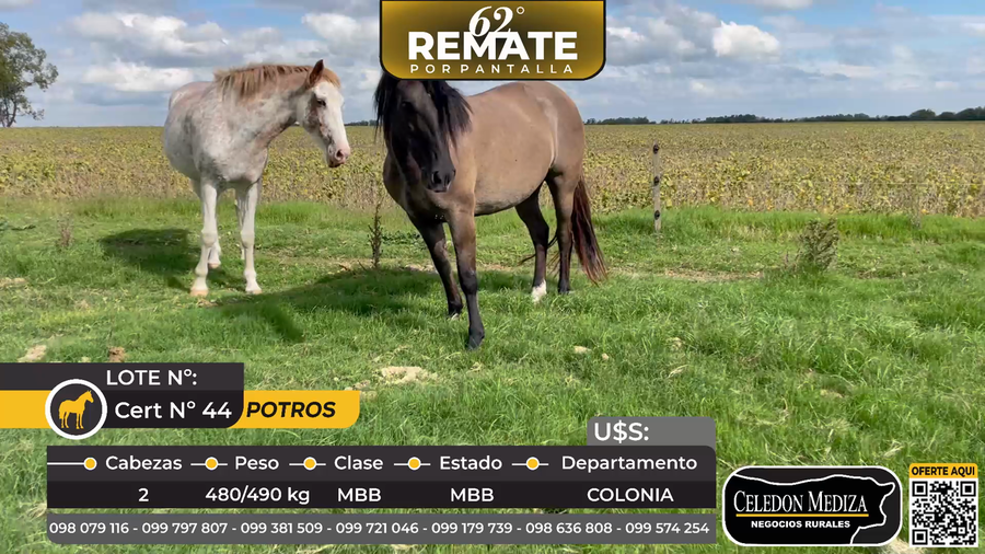 Lote 2 Potro en Ombúes Lavalle, Colonia