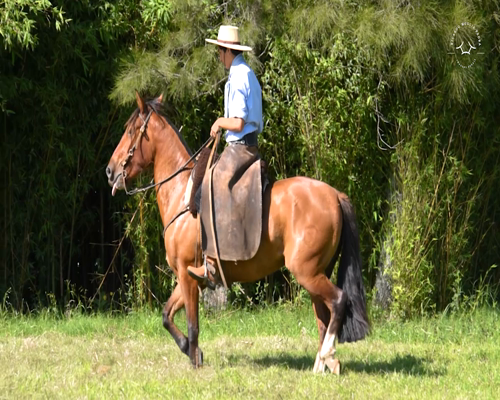 Lote El Gavilán Mato y Voy (RP 414) Cabaña "El Gavilán"