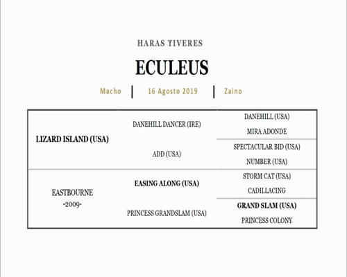 Lote RE RELAXING (REMOTE - WAKING UP)