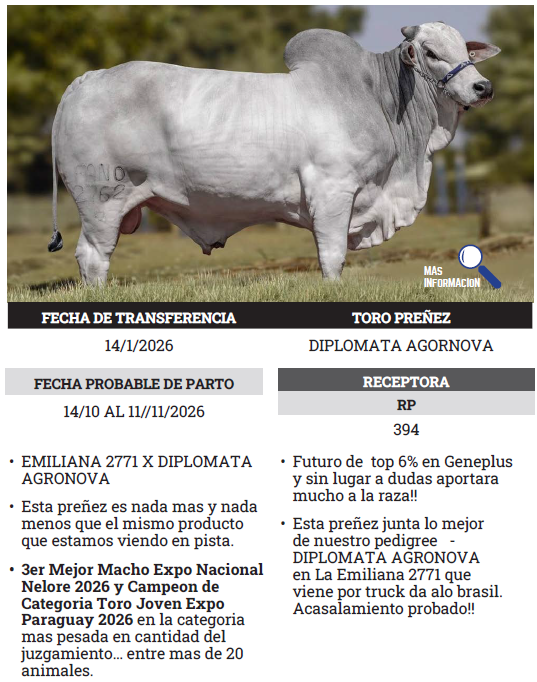 Lote LOTE 6 - PREÑECES