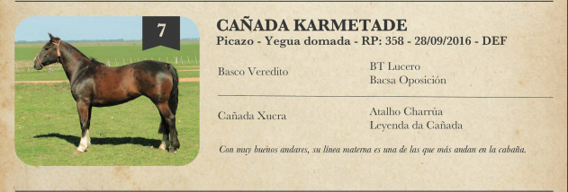 Lote Criollos da Fronteira Cañada Karametade RP: 358