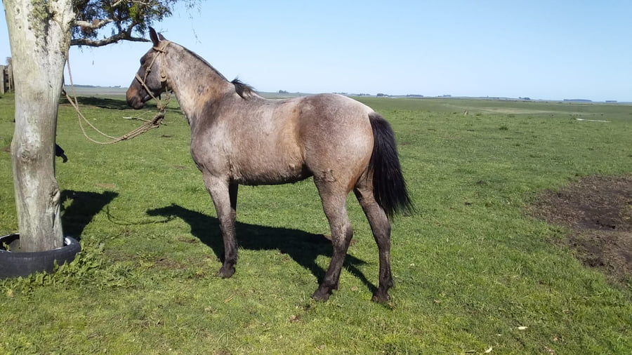 Lote Cabaña "Los Cencerros" - RP 429 - Onza