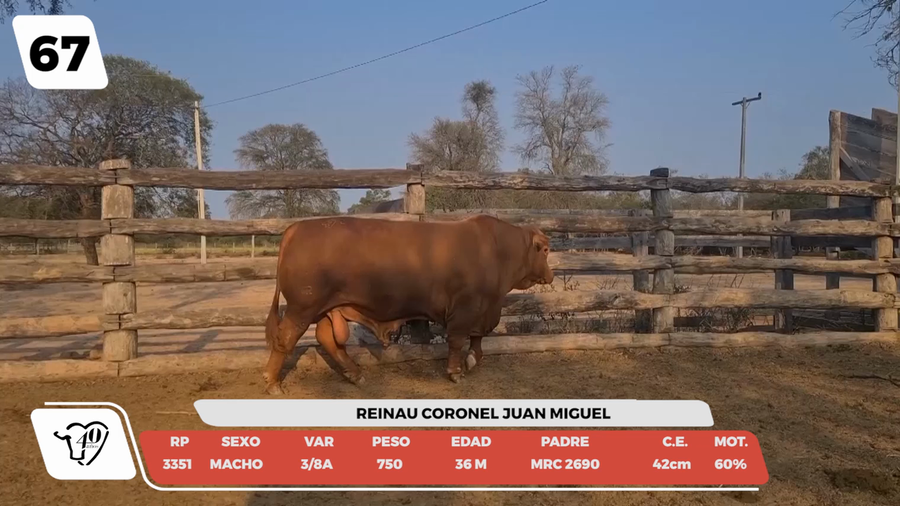 Lote LOTE 67-DE CAMPO