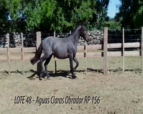 Lote AGUAS CLARAS OBRADOR