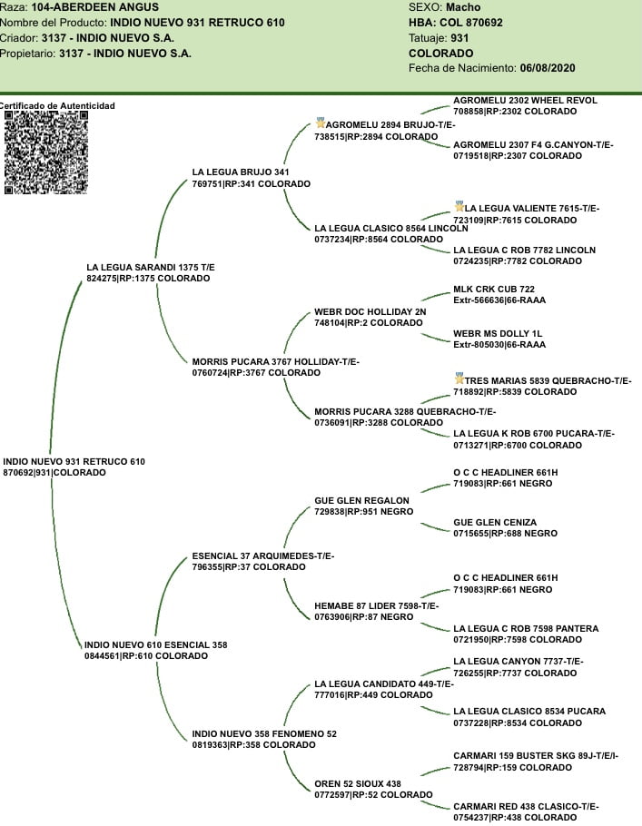 Lote "Toros ""SANTA ROSA"""
