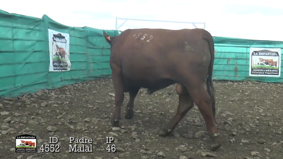 Lote Lote 3
