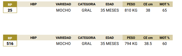 Lote LOTE 24