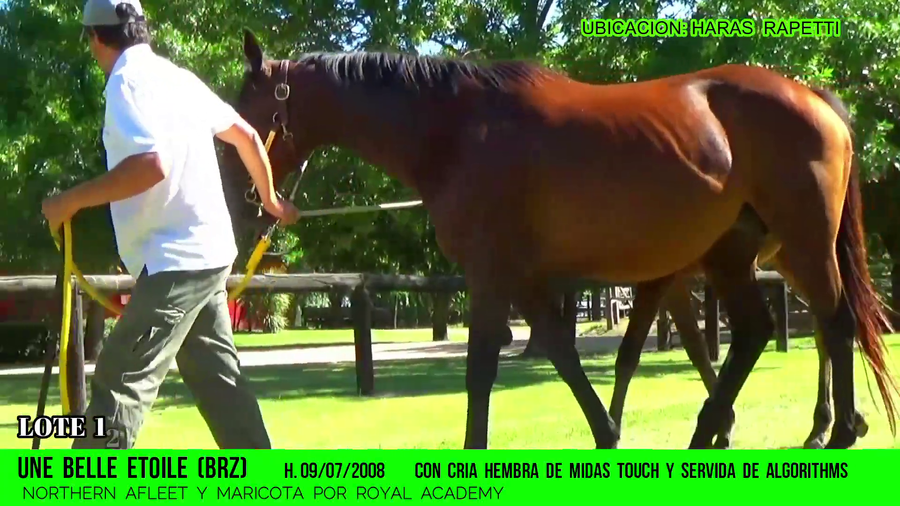 Lote UNE BELLE ETOILE(NO SALE A LA VENTA)