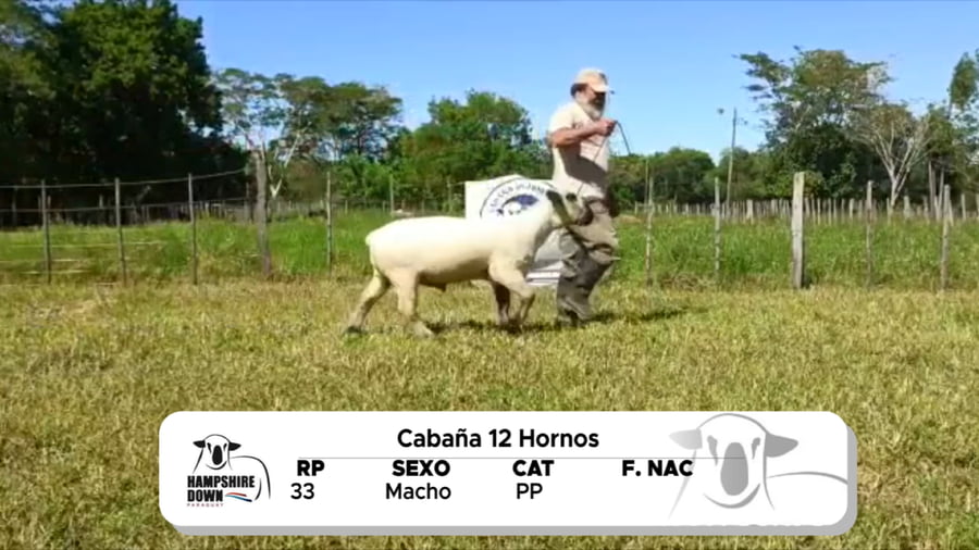 Lote LOTE 4 BOZAL - RP 33