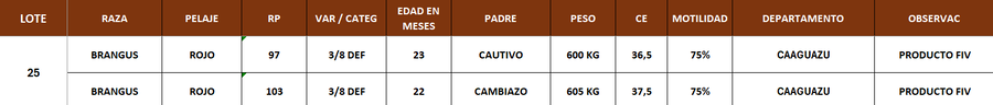 Lote LOTE 25