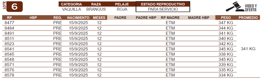 Lote LOTE 6