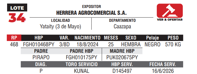 Lote LOTE 34 - DE CAMPO